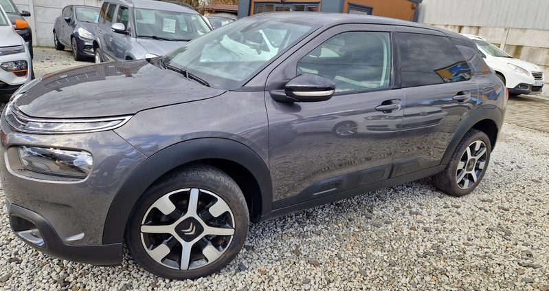 Citroen C4 Cactus cena 54900 przebieg: 35000, rok produkcji 2019 z Sulechów małe 154